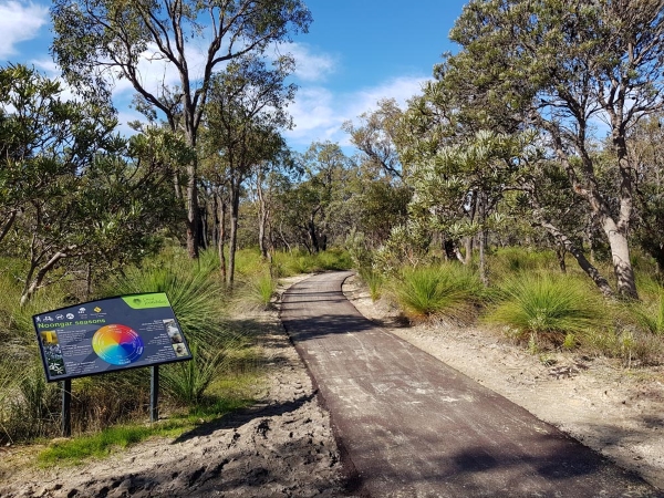 In Warwick Bushland