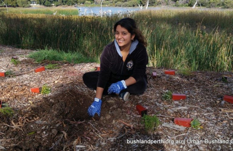 Planting at Lake Claremont