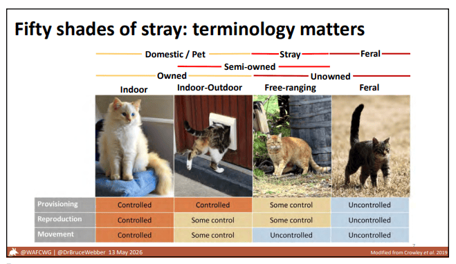 Cat Act ReviewCapture