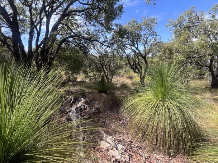 20260308 031017461 iOS