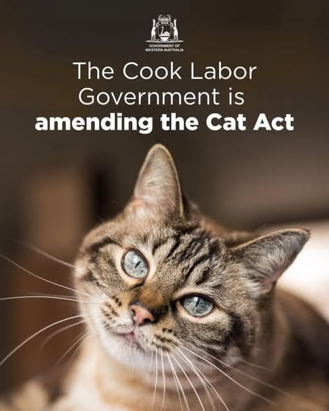 550106371 1209569704528385 4733411156699971017 n