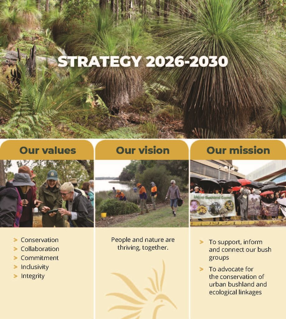 UBC strategy 2026 30 web FINAL sm (002) Page 01 cropped